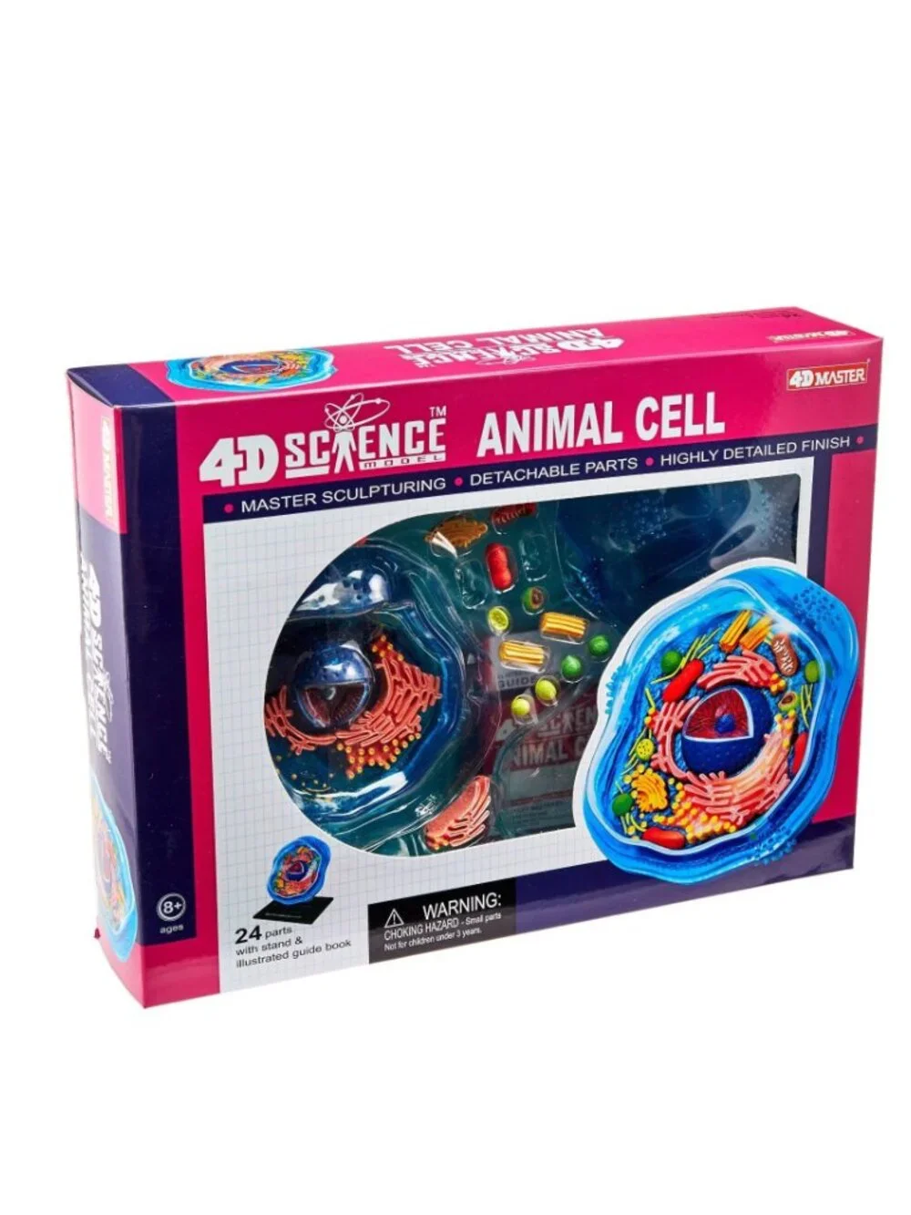 4D Science Animal Cell Anatomy Model High Quality Sculpture Highly Detailed Scho